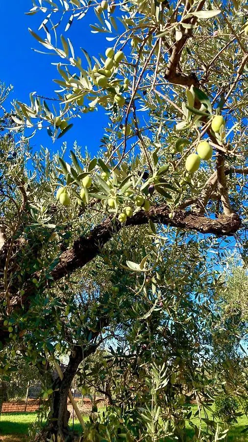 Una Vita In Vacanza Comiso